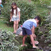 kids at byodo-in