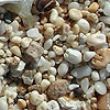 coarse sand