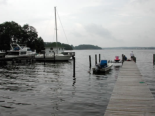 the dock