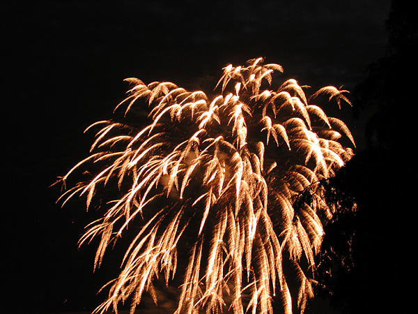 tree fireworks