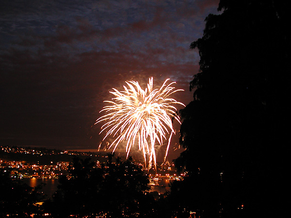 fireworks over city