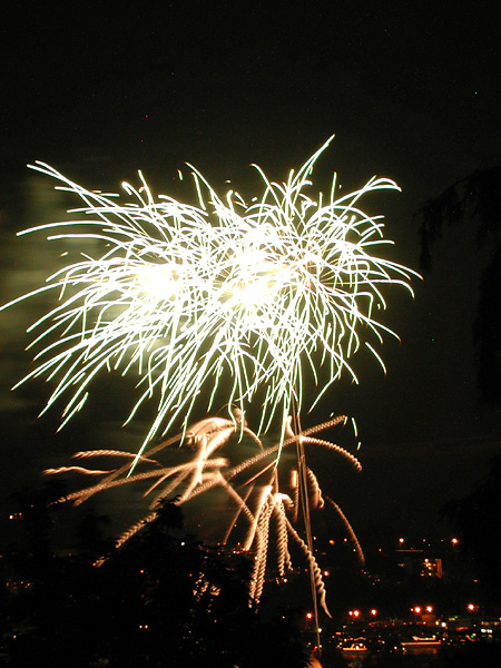 sparkly fireworks