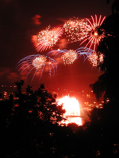 spidery fireworks